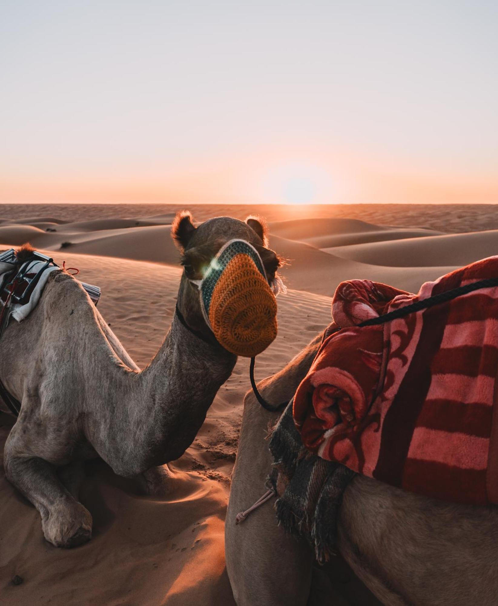 Hamood Desert Private Camp Al Wasil Luaran gambar